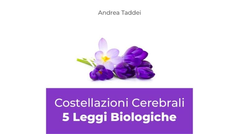 costellazioni cerebrali 5 leggi biologiche corso online
