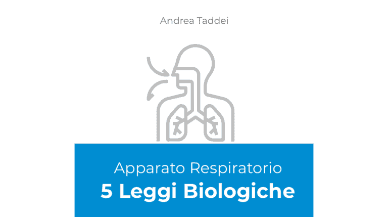 apparato respiratorio