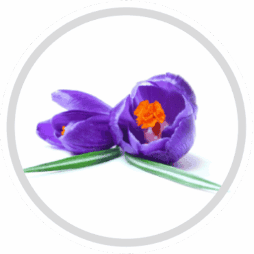 5LB Logo